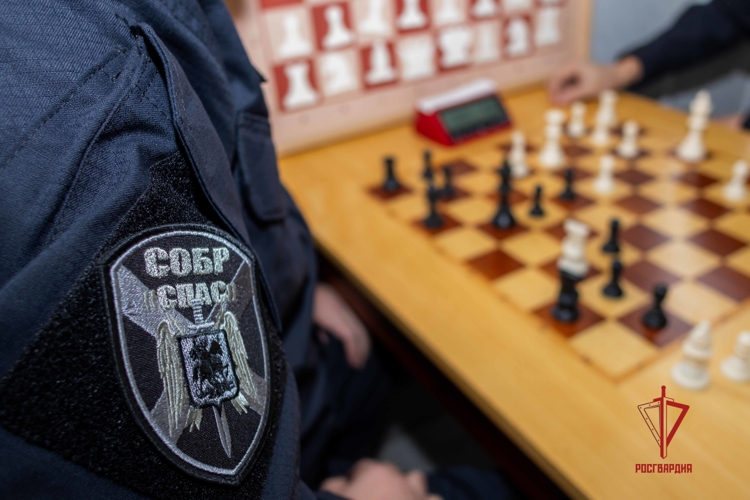 В Донецке спецназ Росгвардии провёл шахматный турнир в честь Дня снятия блокады Ленинграда