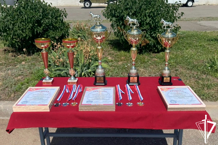 Росгвардейцы ДНР завоевали бронзу на чемпионате Южного округа по многоборью кинологов
