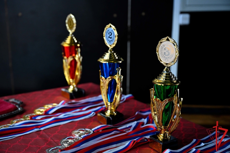 В Донецке прошёл чемпионат по комплексному единоборству среди личного состава Росгвардии