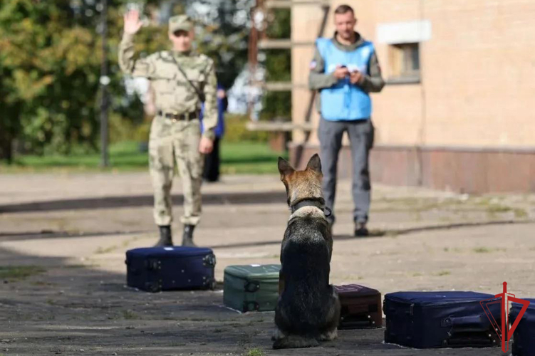 Кинолог Росгвардии из ДНР в составе сборной ведомства стала победителем во всероссийских соревнованиях