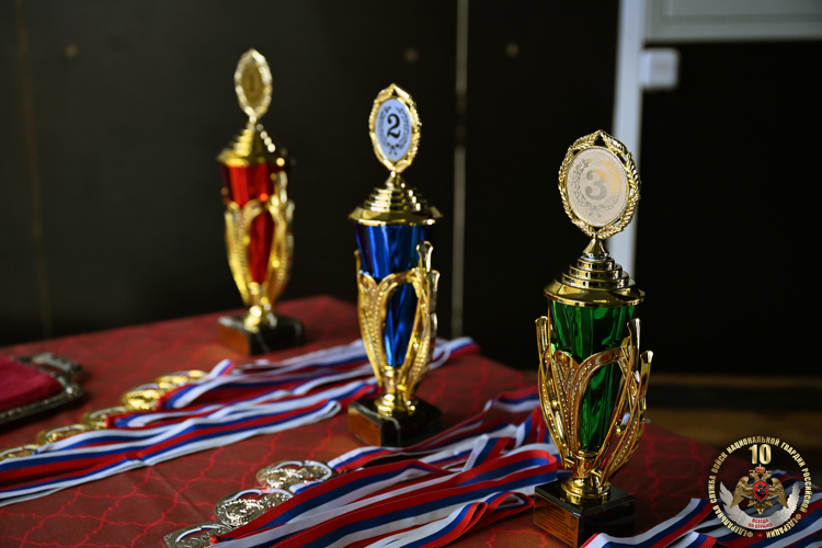 В Донецке прошёл чемпионат по комплексному единоборству среди личного состава Росгвардии